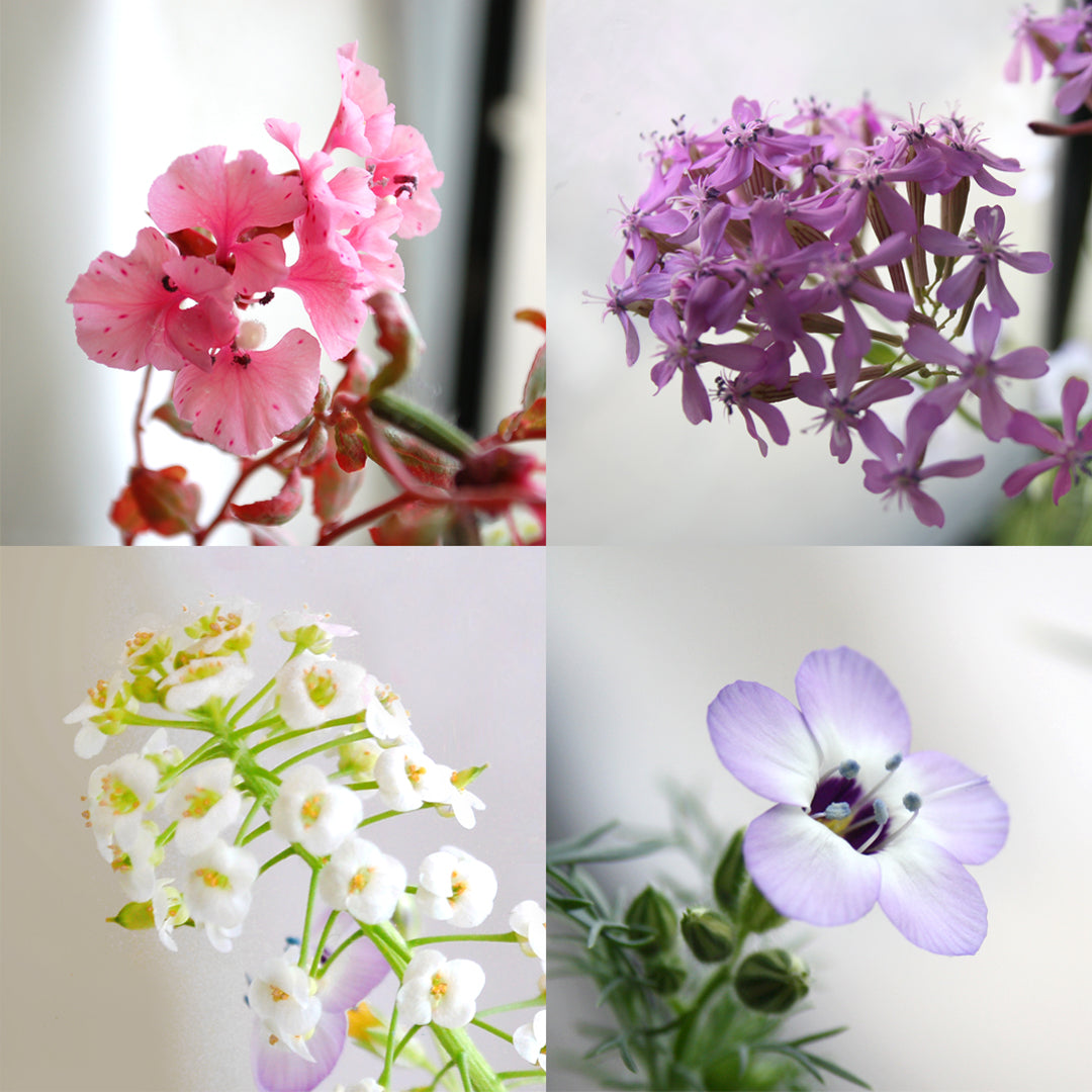 Plantable Greeting Card - Growing old is mandatory...