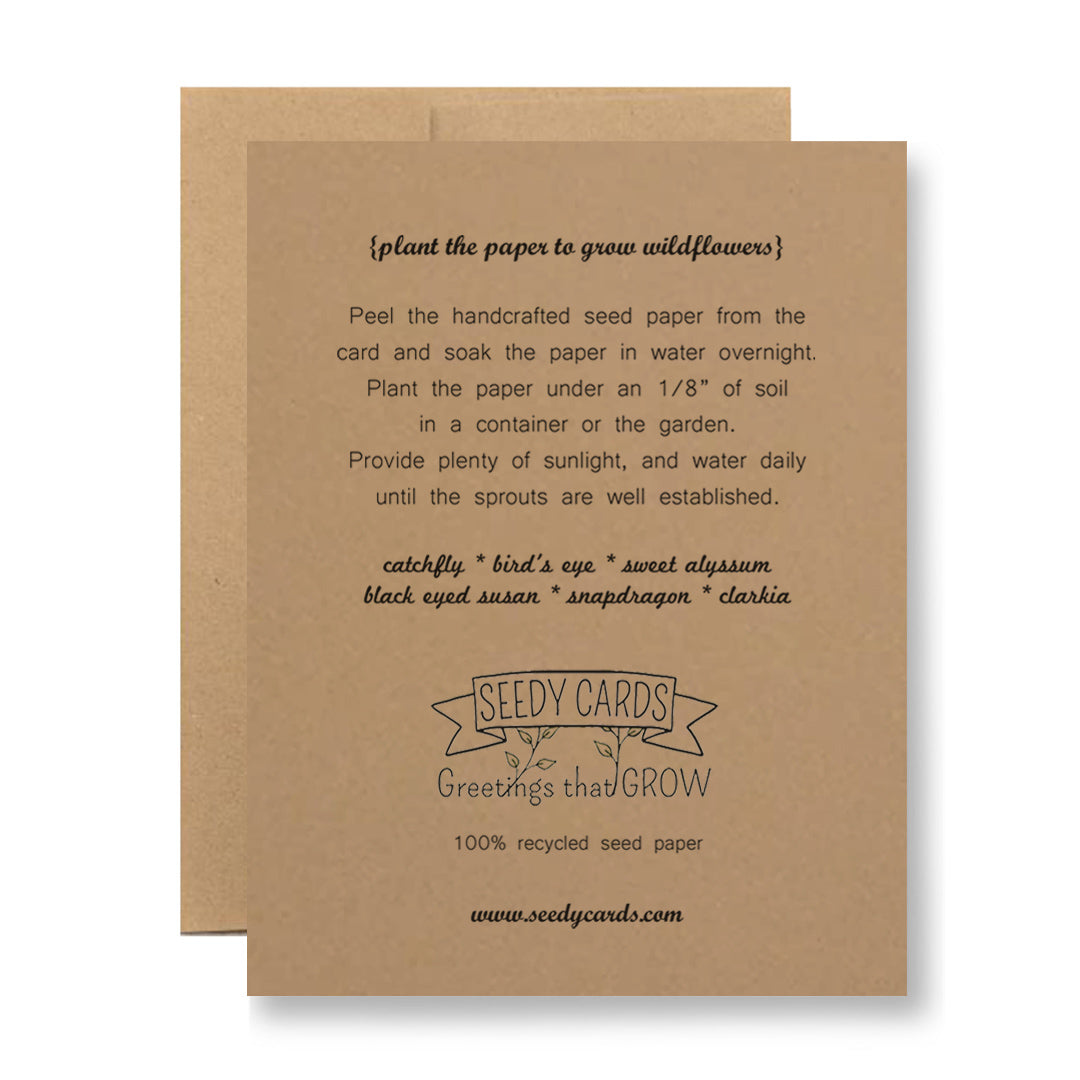 Plantable Greeting Card - May you live to be so old...