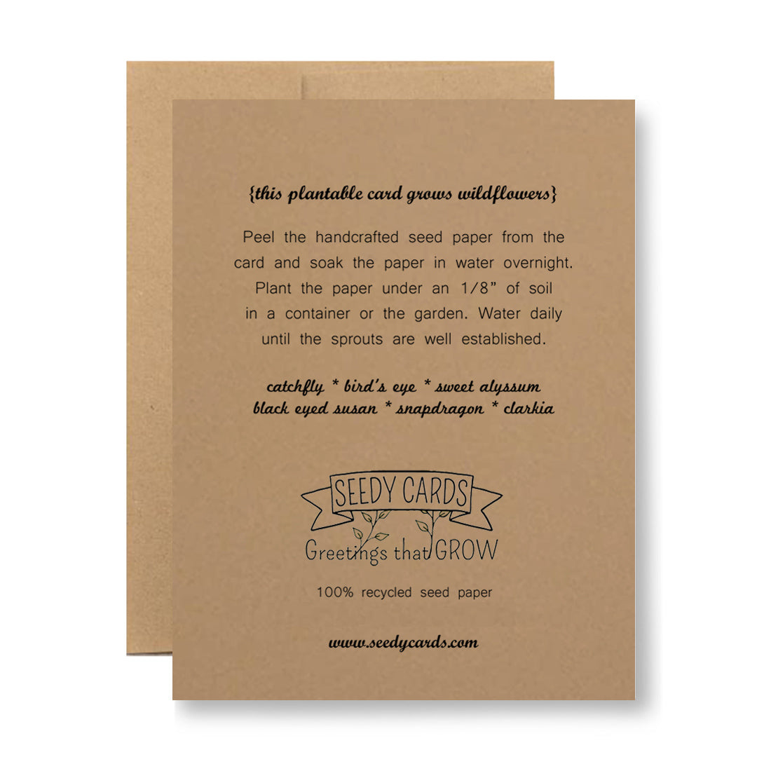 Plantable Greeting Card - The first 40 years of parenthood...